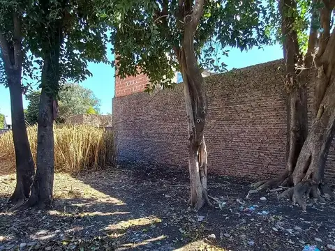Terreno en Venta 7.50 X 50 en José León Suárez