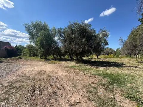 Terreno en Venta de 1534,0 m2