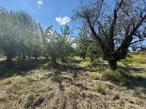 LOTE EN VENTA LAS HERAS MENDOZA