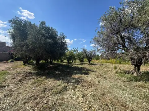 José María Videla 1300