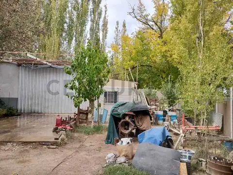 Galpon en Venta en Medrano, USD 80.000