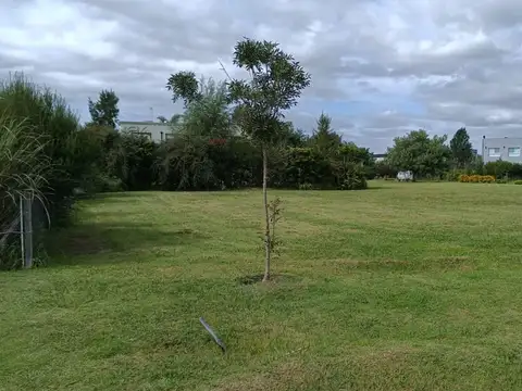 Terreno en Venta de 800,0 m2