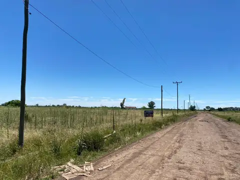 9 hectareas en venta