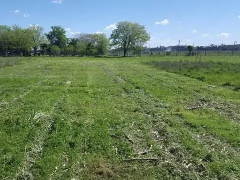 9 hectareas en venta