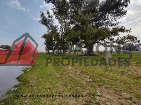 38 ha en venta, cercanos a Gral. Las Heras (Bs.As) L30.017