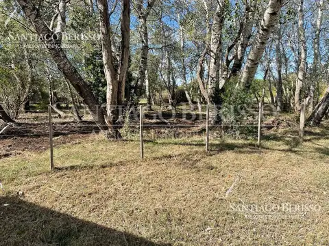 BARRIO ALTO LOS CARDALES