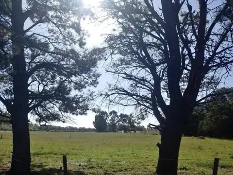 Venta de lote de 6300 mts y alquiler