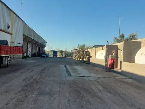 Galpon en Alquiler 5 años