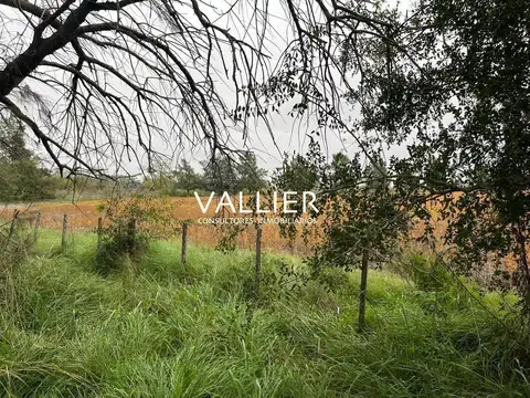 70 has Torres Exaltación de la Cruz 100