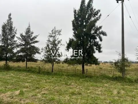 70 has Torres Exaltación de la Cruz 100