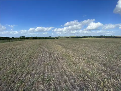 Práctico Lugar 3 Ha Para Disfrutar