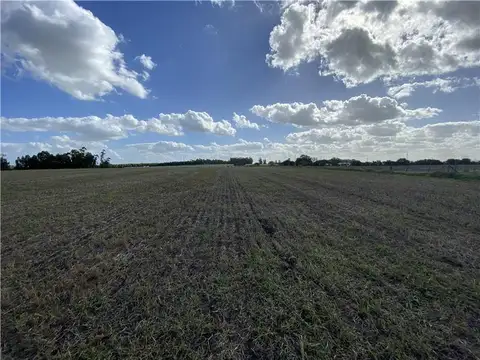 Campo en Venta de 3  ha