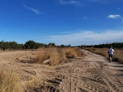 Terreno en Venta de 300,0 m2