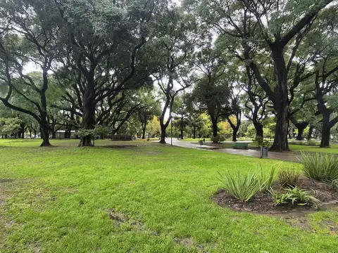 Terreno en Venta 8  mts Frente