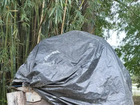 Quinta en Venta en Villa Paranacito, USD 55.000