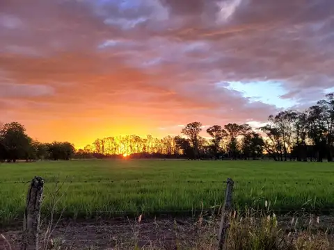 46 has Ruta 28 Pilar- RETASADO 100