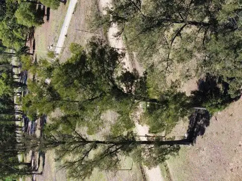 Terreno en Venta de 1000,0 m2