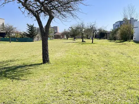 Terreno en Barrio Los Bretes Colón
