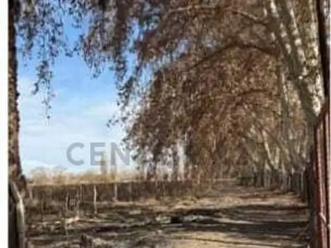 Terreno en Venta en El Plumerillo, USD 28.000