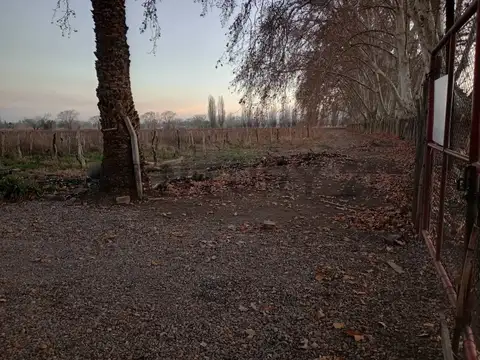 PASCUAL SEGURA , Piso 0