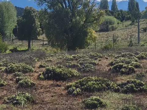 Campo en Venta con Alambrado