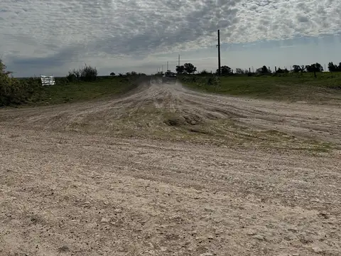 Maria Esther de Miguel y Juan Bautista Alberdi