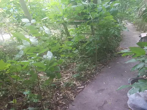 Terreno en Venta 10  mts Frente