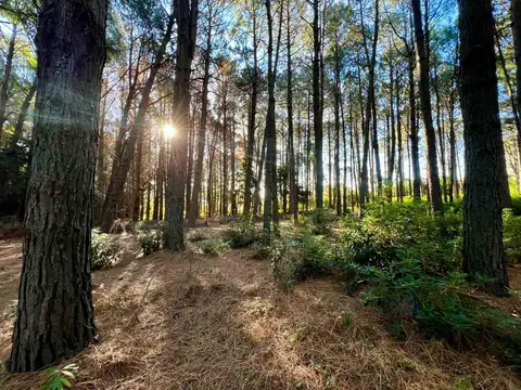 VENTA LOTE PUNTA BALLENA barrio privado