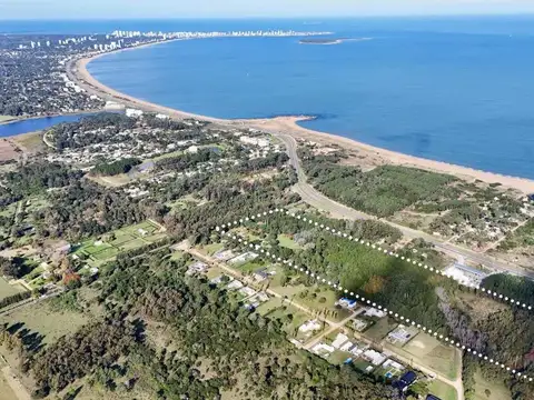 VENTA LOTE PUNTA BALLENA barrio privado