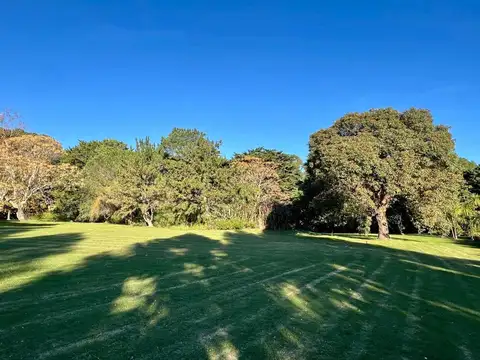 Terreno en Venta en Punta Ballena, USD 95.000