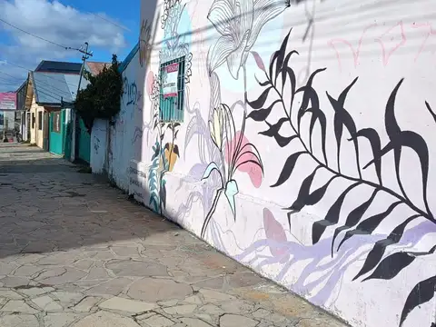 Terreno en Venta 40  mts Fondo