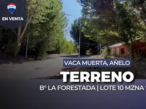 EN VENTA | LOTE B° LA FORESTADA | AÑELO