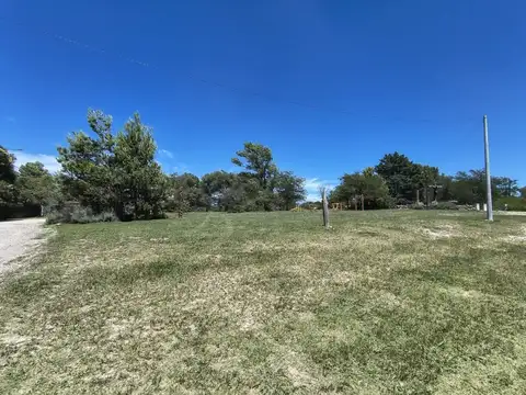 Juana Paula Manso 100