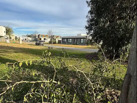 Terreno en venta  GreenVille Polo