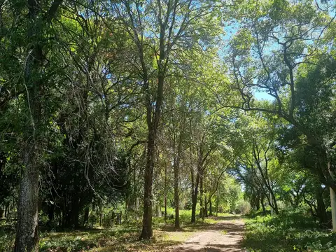 Terreno en Venta en Puerto Tirol, USD 13.000