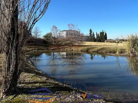 Terreno en Venta 40  mts Frente