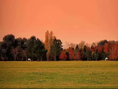 Terreno en Venta de 1059,0 m2