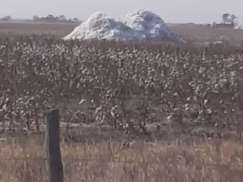 Campo en Venta de 250  ha