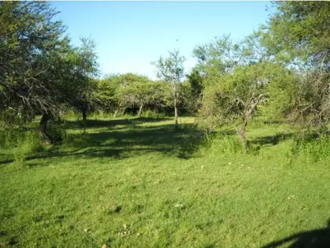 Monte agrícola, oportunidad.