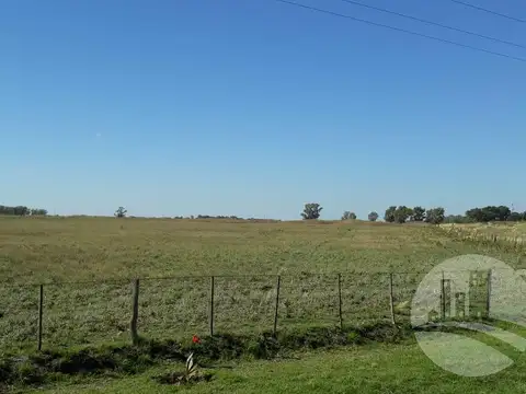 6 Lotes De 5000 M² C/u Sobre Acceso Fracciones Ya Subdividas Ruta 18