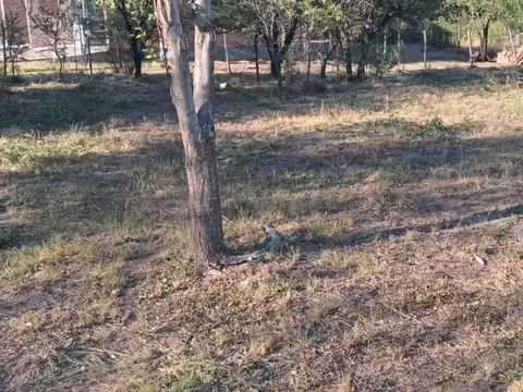 Terreno en Venta 17  mts Frente