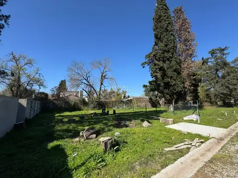 Lisandro De La Torre 4600