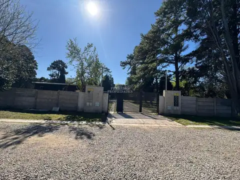 Lisandro De La Torre 4600