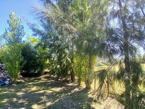 Casa 5 ambientes con 1 baño