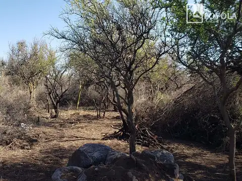 Terreno en Venta, FOS 20