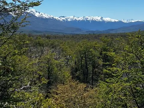 Ruta Provincial Nº71 - Ruta N°40 Turistica