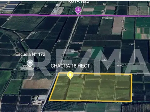 VENTA CHACRA 18,56 HAS. - ALLEN, RIO NEGRO