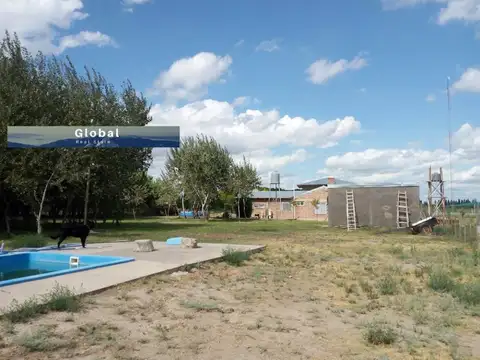 Excelente Finca De 31 Has En San Rafael , Mendoza Zona Vitivinícola Argentina