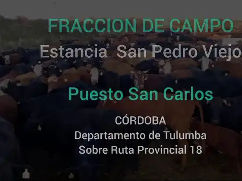 Venta de Campo en Cordoba