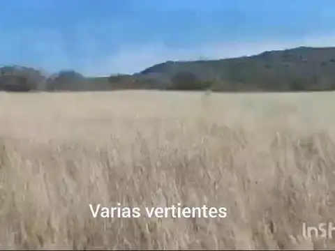 Estancia san pedro viejo